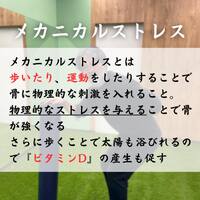 画像305