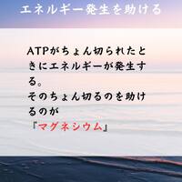 画像358
