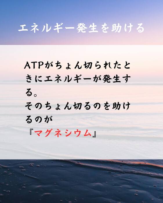 画像358