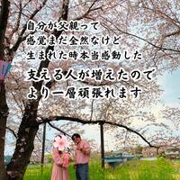 画像411